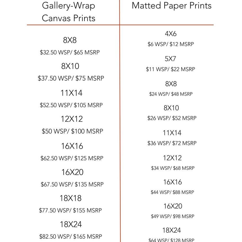 "Spotlight Shrimp" Matted Fine Art Reproduction