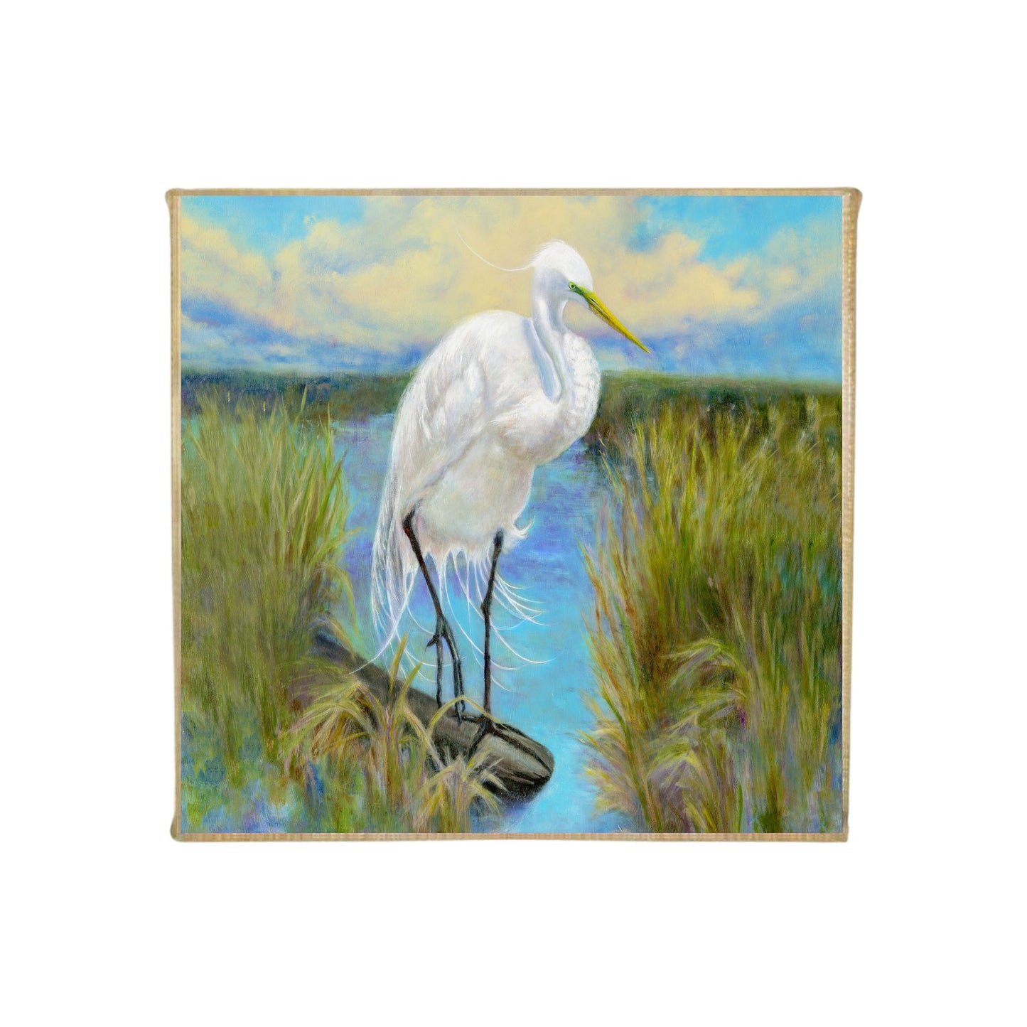 "Louisiana Marsh Hunter" Mini Canvas