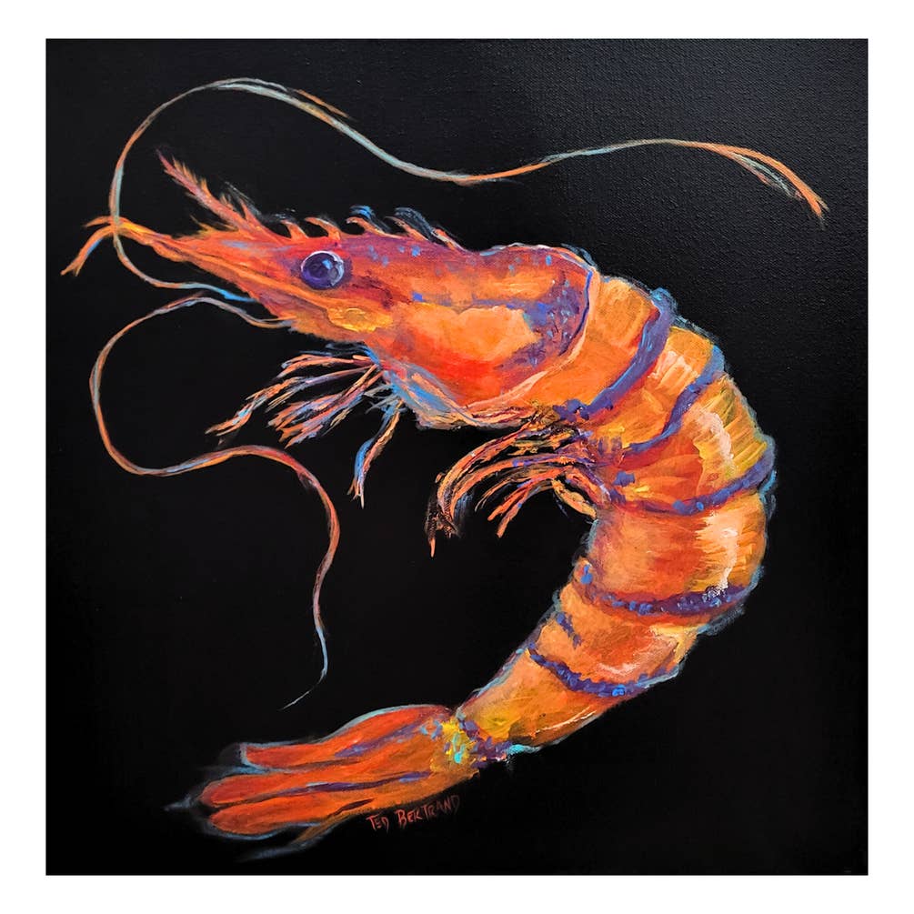 "Spotlight Shrimp" Canvas Fine Art Reproduction